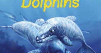 The Last of Maui’s Dolphins