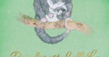 Rainforest Lullaby