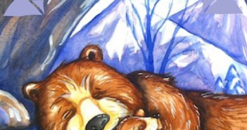 What Now Baby Bears?