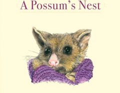 A Possum’s Nest