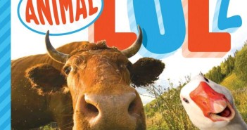 Animal LOLZ