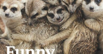 Funny Families