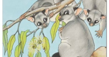 Possum Games