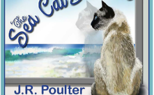 The Sea Cat Dreams