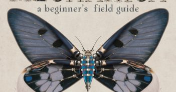Mechanica: a beginners field guide