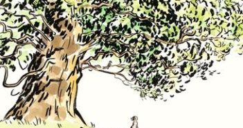 The Things That I LOVE about TREES