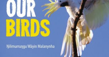 Our Birds: Ŋilimurruŋgu Wäyin Malanynha