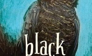 Black Cockatoo