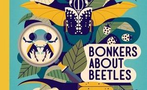 Bonkers About Beetles