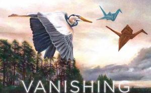 Vanishing