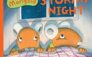 A Stormy Night (Marvin and Marigold #3)