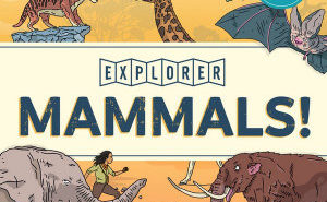 Mammals!