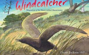 Windcatcher: Migration of the Short-tailed Shearwater