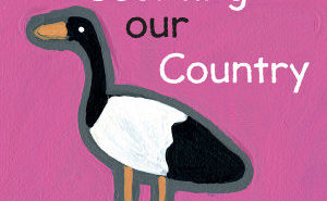Counting Our Country