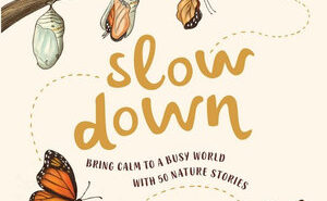 Slow Down: Bring Calm to a Busy World with 50 Nature Stories