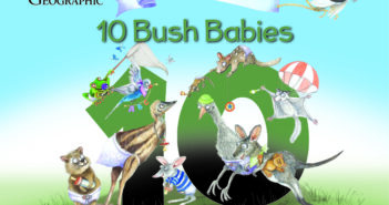 Ten Bush Babies