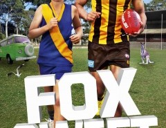Fox Swift