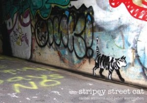 stripey street cat