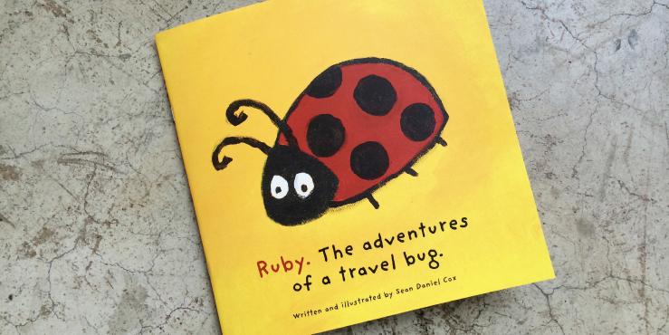 travel bug book