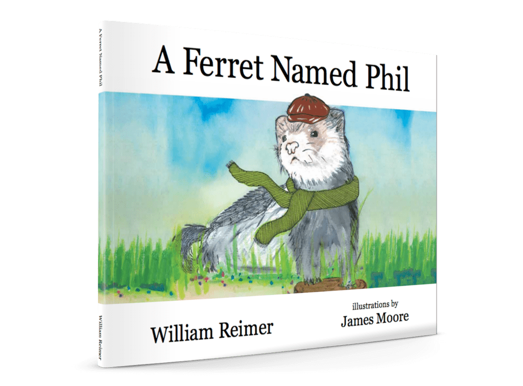 ferret named phil