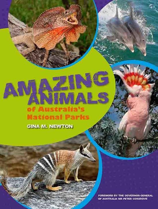 amazing-animals