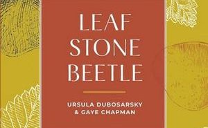 Leaf Stone Beetle