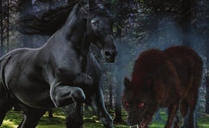 The Bloodwolf War (Equinora Chronicles #1)