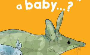 What Do You Call A Baby…?