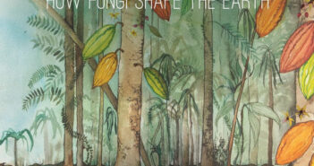 The Forest in the Tree: How Fungi Shape the Earth