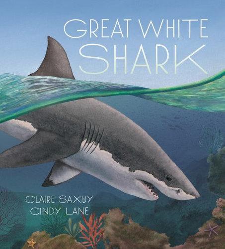 great white shark images for kids